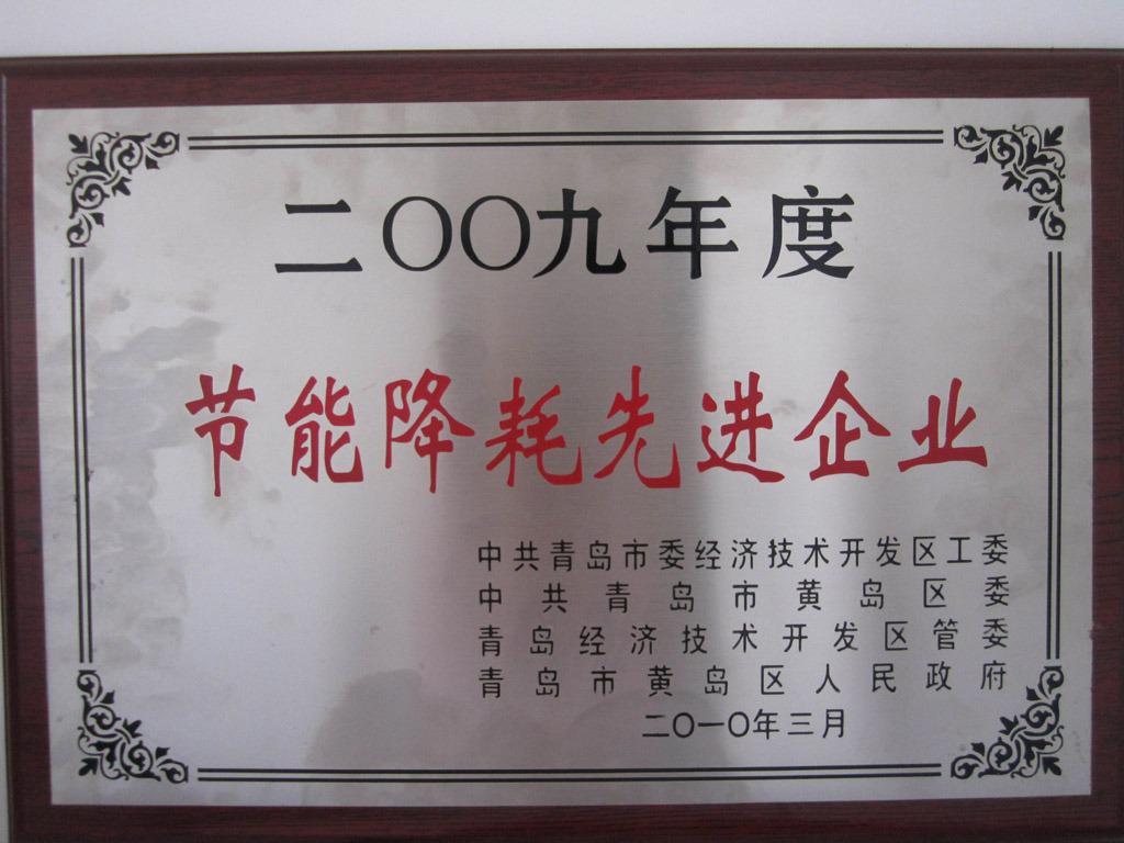 2009年節能降耗先進企業
